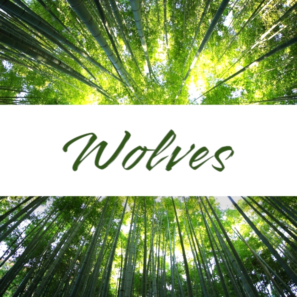 Mens Section - image 1